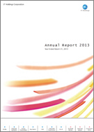 Annual Report 2013