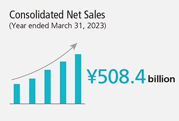 Consolidated Net Sales