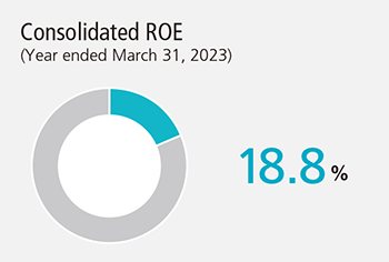 Consolidated ROE