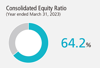 Consolidated Equity Ratio